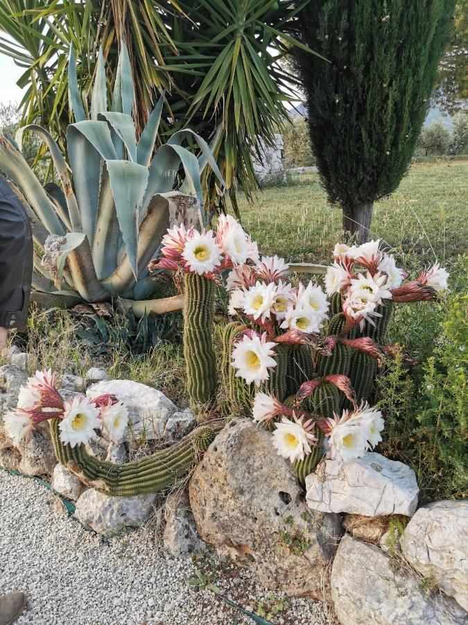 Villa Dei Romani - Country House Guidonia Montecelio Bagian luar foto