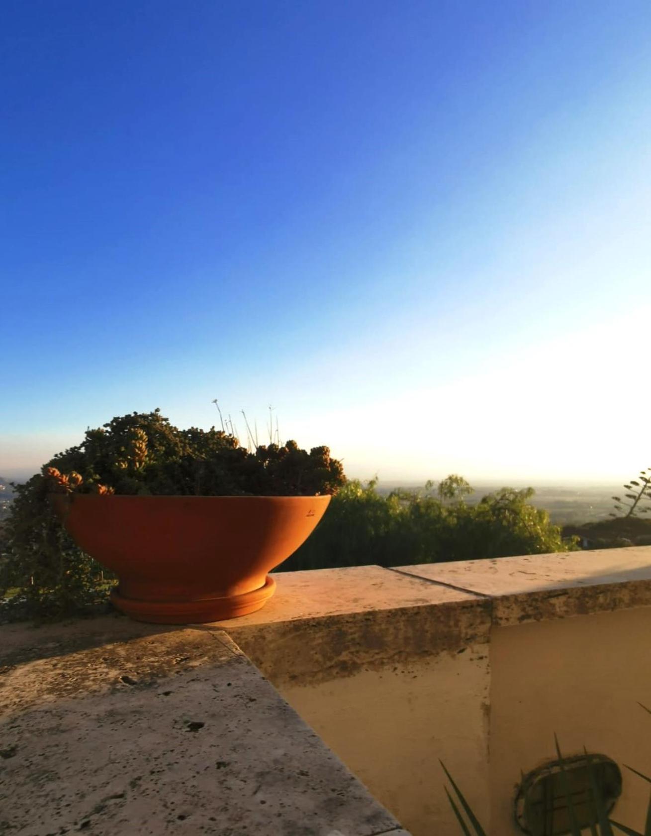 Villa Dei Romani - Country House Guidonia Montecelio Bagian luar foto