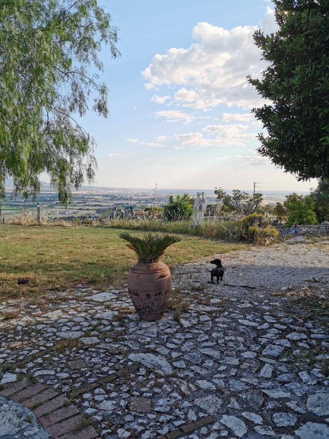 Villa Dei Romani - Country House Guidonia Montecelio Bagian luar foto